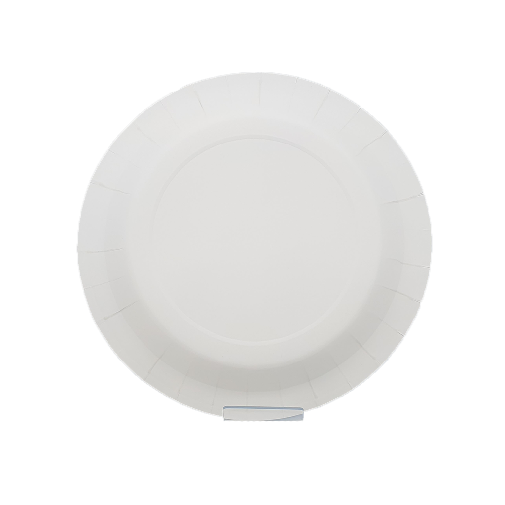 Paper Plate Paper Plate