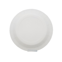 Paper Plate Paper Plate
