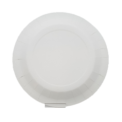 Dazzling Dinner Plate Dazzling Dinner Plate
