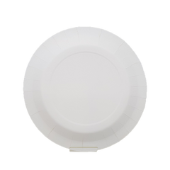 Daffodil Delight Plates Daffodil Delight Plates