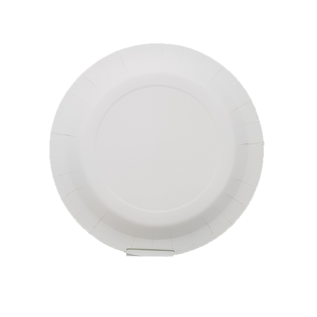 Minty Fresh Dinnerware Plates